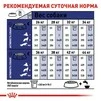 Сухий корм Royal Canin MAXI ADULT для дорослих собак Великих порід 4 кг - 3
