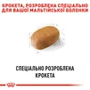 Сухой корм Royal Canin Maltese Adult для собак породы Мальтийская болонка 0.5 кг - 4