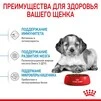 Сухой корм Royal Canin MEDIUM PUPPY для щенков Средних пород 4 кг - 2