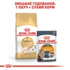 Сухий корм для дорослих котів породи сфінкс  Royal Canin Sphynx Adult 2 кг - 6