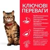 Сухой корм для кошек с чувствительным пищеварением и кожей Hill's Science Plan Adult Sensitive Stomach&amp;amp;Skin с курицей 7 кг - 3