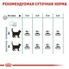 Сухий корм Royal Canin HAIRBALL CARE для дорослих кішок, профілактика утворення волосяних грудочок 2 кг - 5