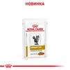 ПАК.Влажный лечебный корм Royal Canin Urinary S/O Moderate Calorie для котов склонных к лишнему весу и МКБ 12шт по 85 г - 9