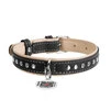 Нашийник для собак шкіряний WAUDOG Soft з QR паспортом, металеві прикраси, Ш 15 мм, Дл 27-36 см - 2