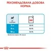 ПАК.Влажный корм Royal Canin MINI PUPPY для щенков Мелких пород 12 шт по 85 г - 5
