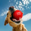 Іграшка для собак WAUDOG Fun Red Ball, надлегка і надзвичайно міцна, спінений термопластичний поліуретан, 70 мм - 4