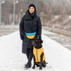 Двусторонняя курточка AiryVest для собак "Colors of freedom", размер L 65 - 2