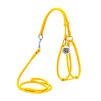 Шлея з повідцем для собак шкіряна WAUDOG Glamour з QR паспортом, кругла, Д 6 мм, А 26-46 см, В 30-50 см, жовта - 1