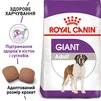 Сухий корм для дорослих собак Royal Canin Giant Adult гігантських порід старше 2 років 15 кг - 2