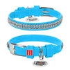 Нашийник для собак шкіряний WAUDOG Glamour з QR паспортом, з прикрасою "Полотно страз", Ш 9 мм, Дл 19-25 см, блакитний - 1