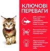 Сухой корм для котят и кошек в период беременности и кормления грудью Hill's Science Plan Kitten с курицей 3 кг - 3