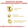 Сухий корм для дорослих собак породи Бігль Royal Canin BEAGLE ADULT 3 кг - 3