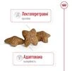 Сухий корм для собак малих порід Royal Canin Mini Adult для дорослих собак 800 г - 3