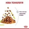 ПАК.Влажный корм Royal Canin SENSORY SMELL JELLY (Желе) для взрослых кошек привередливых в питании 12 шт по 85 г - 4