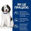 Сухой корм Hill's Prescription Diet c/d Multicare Urinary Care для собак всех пород с курицей 1,5 кг - 7
