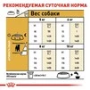 Сухий корм Royal Canin JACK RUSSEL ADULT для дорослих собак породи Джек Рассел Тер'єр 7.5 кг - 5