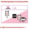 ПАК.Влажный корм Royal Canin KITTEN LOAF (Паштет) для котят 12шт по  85 г - 5