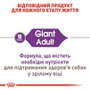Сухий корм для дорослих собак Royal Canin Giant Adult гігантських порід старше 2 років 15 кг - 5