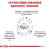 Сухой корм Royal Canin SATIETY WEIGHT MANAGEMENT CAT для взрослых кошек, снижение и контроль веса 400 г - 2