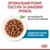 ПАК.Вологий корм для щенят Royal Canin Xsmall Puppy 12 шт по 85 г - 4