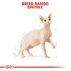 Сухий корм Royal Canin Sphynx Adult для котів породи сфінкс від 12 місяців 10 кг - 3