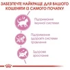 Сухой корм Royal Canin Kitten для котят от 4 до 12 месяцев 4 кг - 3