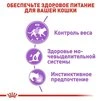 ПАК.Влажный корм Royal Canin STERILIZED JELLY (Желе) для взрослых стерилизованных кошек 12шт по 85 г - 5