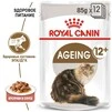 ПАК.Вологий корм Royal Canin AGEING+12 для старіючих котів (Соус)12шт по 85 г - 3
