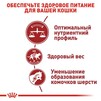 Сухий корм Royal Canin FIT для дорослих кішок 4 кг - 3