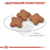 Сухий корм для дорослих собак дрібних порід Royal Canin Mini Adult 8+ старше 8 років 800 г - 3