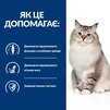 Сухой корм Hill's Prescription Diet j/d Joint Care для кошек с курицей 2 кг - 5