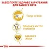 Сухой корм для котов британская короткошерстная Royal Canin British Shorthair Adult от 12 месяцев 2 кг - 5