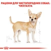 Сухий повнораційний корм для дорослих собак породи чихуахуа Royal Canin Chihuahua Adult віком від 8 місяців та старше 1.5 кг - 3