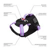 Шлея для собак безопасная WAUDOG Nylon c QR паспортом, металлическая пряжка-фастекс, S, Ш 20 мм, А 35-60 см, В 55-65 см, фиолетовый - 5