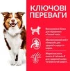 Сухой корм для зрелых собак от 7 лет Hill&rsquo;s Science Plan Mature Adult 7+ Medium Breed с курицей 14 кг - 2