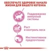 ПАК.Вологий корм Royal Canin KITTEN STERILISED IN GRAVY (Соус) для стерилізованих кошенят 12шт по 85 г - 5