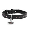 Нашийник для собак шкіряний WAUDOG Glamour з QR паспортом, з клейовими стразами, Ш 12 мм, Дл 21-29 см, чорний - 2