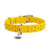 Нашийник для собак шкіряний WAUDOG Glamour з QR паспортом, з клейовими стразами, Ш 25 мм, Дл 38-49 см, жовтий - 2