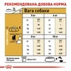 Корм Royal Canin Jack Russell Terrier Adult сухий для собак породи Джек рассел  1.5 кг - 2
