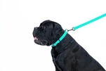 Повідець для собак водостійкий WAUDOG Waterproof, що світиться, Ш 15 мм, Дл 183 см - 6