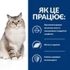 Сухой корм Hill's Prescription Diet j/d Joint Care для кошек с курицей 2 кг - 7