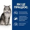 Сухой корм Hill's Prescription Diet L/d Liver Care для кошек при заболеваниях печени с курицей 1.5 кг - 7
