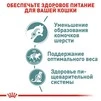 ПАК.Вологий корм Royal Canin HAIRBALL CARE для дорослих кішок, профілактика утворення волосяних грудочок12шт по 85 г - 6