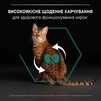 Сухий корм для котів Purina Pro Plan Adult 1+ Renal Plus з куркою 1.5 кг (НФ-00000364) - 2