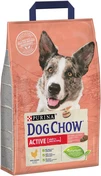 Сухой корм для взрослых активных собак Purina Dog Chow Active Adult со вкусом курицы 2.5 кг - 1
