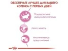 ПАК.Вологий корм Royal Canin KITTEN INSTINCTIVE IN JELLY (Желе) для кошенят 12 шт по 85 г - 3