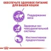 ПАК.Влажный корм Royal Canin STERILIZED LOAF (Паштет) для взрослых стерилизованных кошек 12шт по 85 г - 4