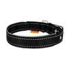 Нашийник "Dog Extremе" нейлоновий подвійний зі світловідбиваючою вставкою (ширина 15мм, довжина 27-35см), чорний - 3
