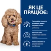 Сухий корм Hill&rsquo;s Prescription Diet Gastrointestinal Biome Mini для мініатюрних порід при захворюваннях шлунково-кишкового тракту 1 кг - 6