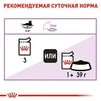 ПАК.Влажный корм Royal Canin STERILIZED JELLY (Желе) для взрослых стерилизованных кошек 12шт по 85 г - 6